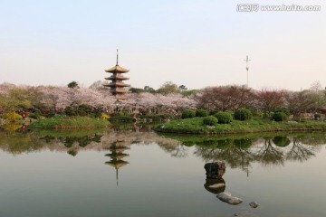 樱花园风景