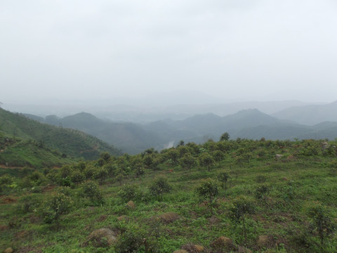 大山