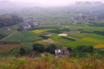 乡村风景