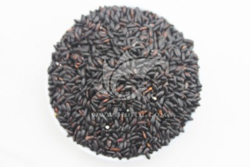 黑米