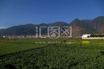 苍山 田野 村庄