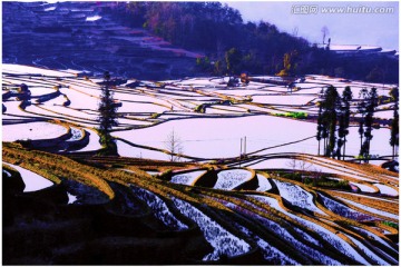 元阳梯田（高清大画幅）