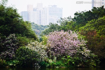 深圳东湖公园