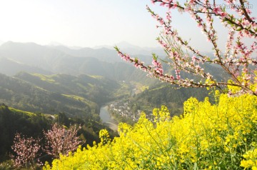 安徽歙县石潭油菜花