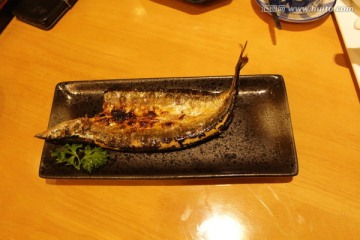 秋刀鱼
