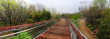 济南泉城公园观光桥