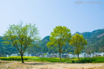 山村