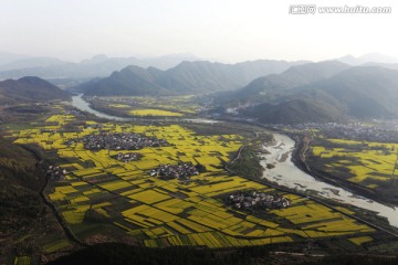 河流 油菜花