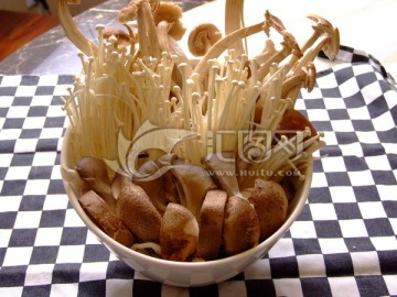 美食 中式菜肴 菌菇拼盘