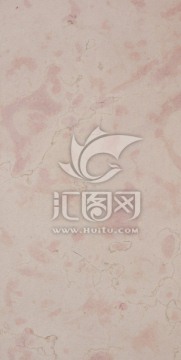 粉红玫瑰