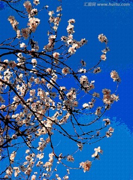 桃花油画