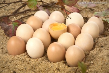 生态鸡蛋
