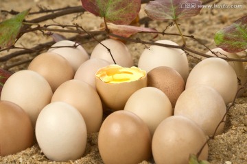 生态鸡蛋