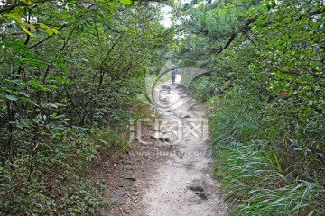 山路 小路