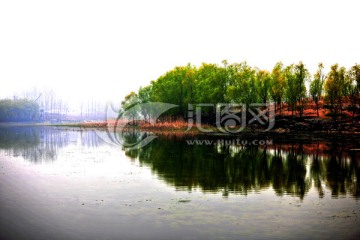 河岸风景