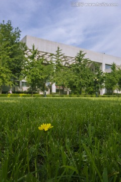 清华大学 经济管理学院