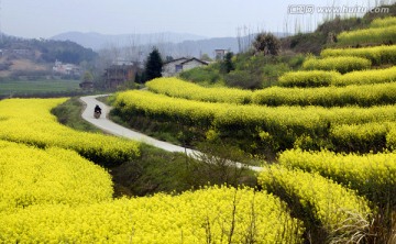 醉美小村