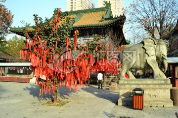 大兴善寺风景