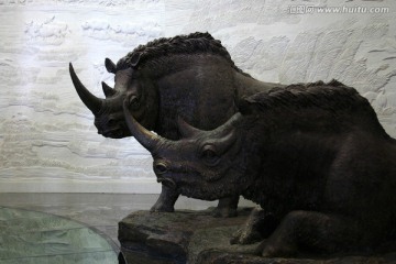 博物馆 雕塑 犀牛