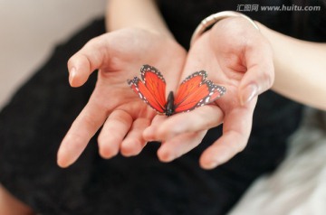 手心里的蝴蝶