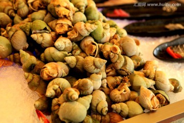 美食餐饮 海螺