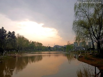 义乌雪峰公园柳树湖泊夕阳全景