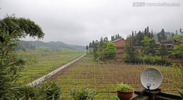 农田 乡村美景