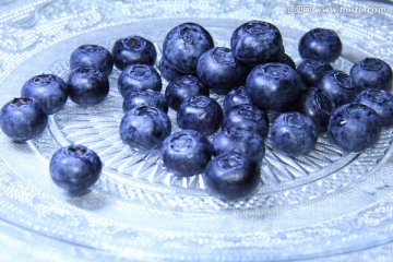 蓝莓果高清图片