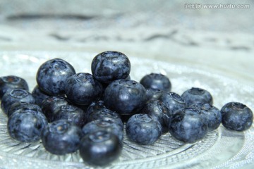 蓝莓果高清