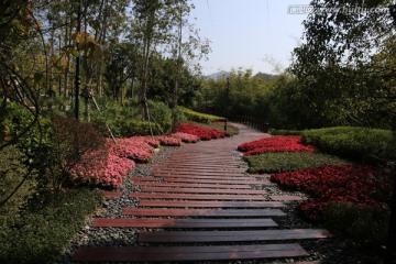 路