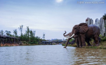 河边饮水的大象