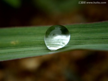 水珠