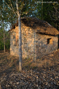 森林小屋