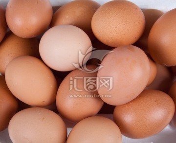 鸡蛋 红皮鸡蛋