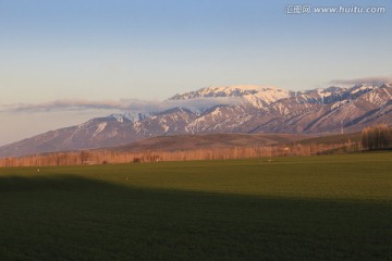 田野