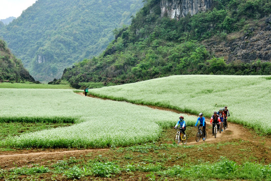 山地骑行