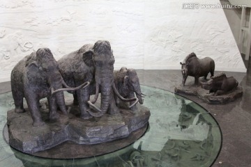 大庆 博物馆 雕塑 猛犸象 犀