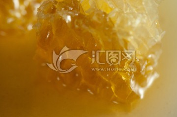 纯野生天然蜂蜜