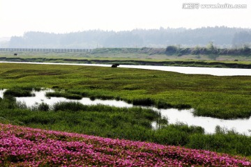 城市湿地