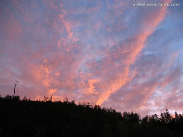 多彩的夕阳光红光芒娇艳 森林