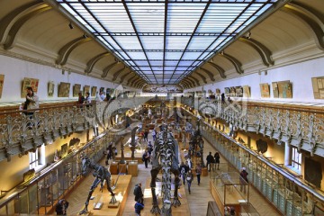 史前海洋生物恐龙化石展厅