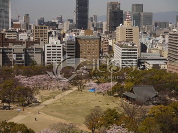 大阪天守阁 大阪城公园 神社