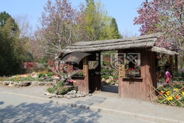 小木屋