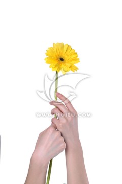 手中的花