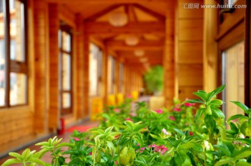 鲜花