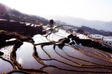 元阳梯田（高清）