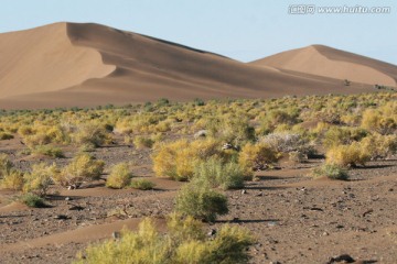 沙漠风光 新疆