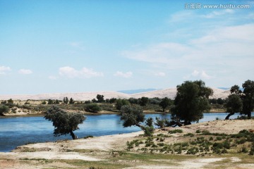 沙漠河流 新疆