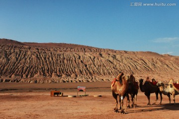新疆火焰山 骆驼