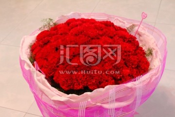 康乃馨 红色的花